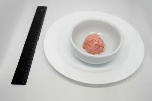 Quantas calorias em 1 bola (60 g) Sorbet de Morango?