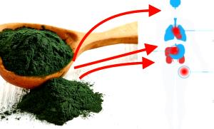 Quantas calorias em 1 colher de chá (5 g) Spirulina em Pó?