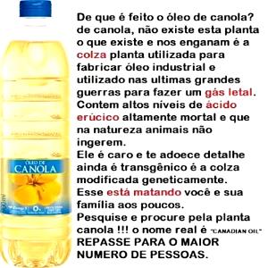 Quantas calorias em 1 Colher De Sopa (14,0 G) Óleo de canola?