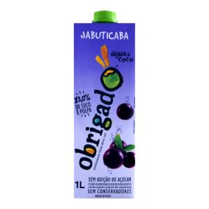 Quantas calorias em 1 copo (200 ml) Água de Coco Jabuticaba?