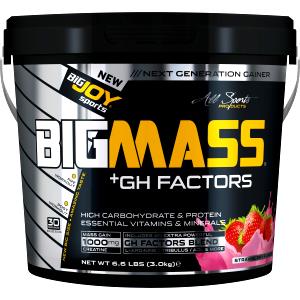 Quantas calorias em 1 dose (160 g) Big Mass?