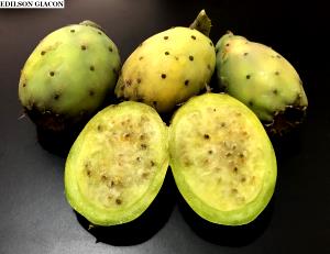 Quantas calorias em 1 Fruta (103,0 G) Figo-da-índia?