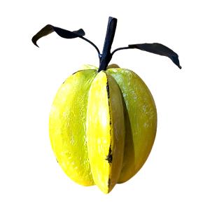 Quantas calorias em 1 Fruta (85,0 G) Carambola?