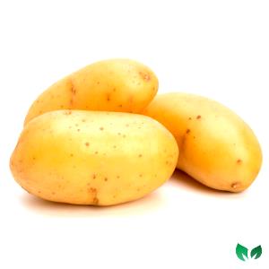 Quantas calorias em 1 Grande (7,5 Cm - 10,5 Cm De Diâmetro, Cru) Batata Inglesa Cozida?