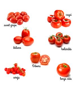 Quantas calorias em 1 Inteiro E Grande (7,5 Cm De Diâmetro) Tomates?