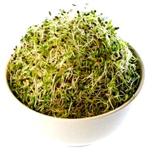 Quantas calorias em 1 Lb Sementes de Alfafa (Germinado)?