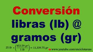 Quantas calorias em 1 Libras (453,6 G) Vitela, costela, crua?