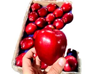 Quantas calorias em 1 Média (7 Cm De Diâmetro) Maçãs Red Delicious?