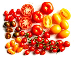 Quantas calorias em 1 Médio E Inteiro (6,5 Cm Diâmetro) Tomates?