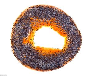 Quantas calorias em 1 Miniatura Bagel de Semente de Papoila?