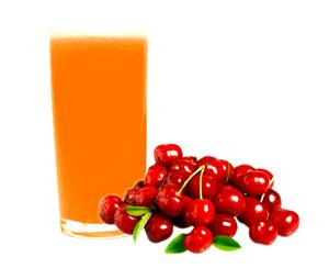 Quantas calorias em 1 Onça Fluida Suco de Acerola?