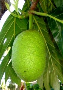 Quantas calorias em 1 Oz Fruta-Pão?