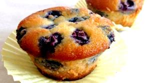 Quantas calorias em 1 Oz Muffins de Mirtilo?