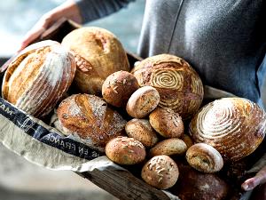 Quantas calorias em 1 Oz Pão de Massa Azeda Torrado?