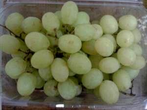 Quantas calorias em 1 Oz Uvas (Vermelha ou Verde, Variedades do tipo Europeu tais como Thompson Seedless )?