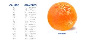 Quantas calorias em 1 Pequenas (5,5 Cm De Diâmetro) Tangerinas?