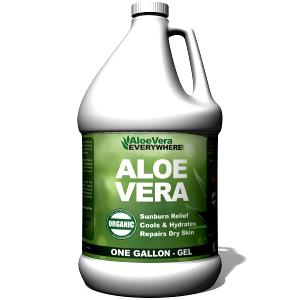 Quantas calorias em 1 porção (120 ml) Aloe Vera Gel?