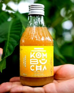 Quantas calorias em 1 porção (200 ml) Kombucha Limão + Gengibre?