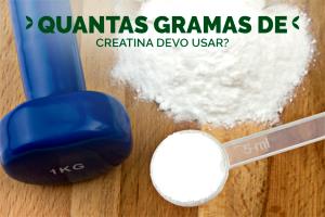 Quantas calorias em 1 porção (3 g) Creatina?