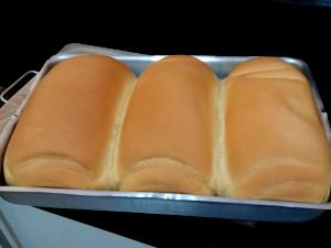 Quantas calorias em 1 Porção (50 G) Pão Caseiro?