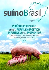 Quantas calorias em 1 Porção Arrasto suíno?