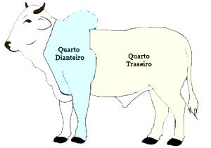 Quantas calorias em 1 Porção Carne boi quarto diantero crua?