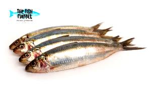 Quantas calorias em 1 Porção Peixe água salgada sardinha filé crua?