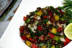 Quantas calorias em 1 Porção Salada lentilha - lentilha cozido tomate cebola pepino salsa suco de limão com azeite de oliva sem sal?