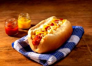 Quantas calorias em 1 Porção Sanduíche cachorro quente (com pão hot dog e salsicha) com catchup mostarda e maionese?