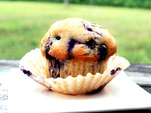 Quantas calorias em 1 Porçoes Blueberry Muffins?