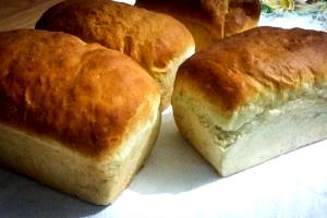 Quantas calorias em 1 Porçoes Pão Caseiro Da Ana?