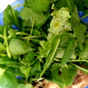 Quantas calorias em 1 Porçoes Salada Verde Reforçada?