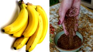 Quantas calorias em 1 Porçoes Suco De Banana Linhaça E Chia?