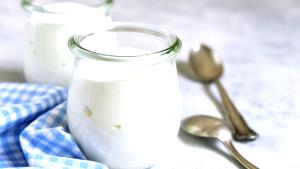 Quantas calorias em 1 Porçoes Iogurte Natural Caseira?