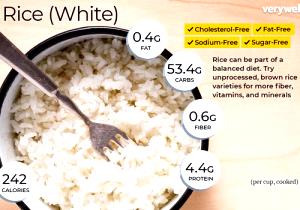 Quantas calorias em 1 scoop (30 g) Rice Protein?