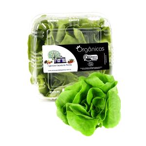 Quantas calorias em 100 G Alface de Folha Verde?