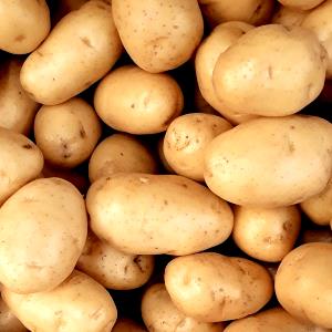 Quantas calorias em 100 G Batatas Brancas (com Casca)?