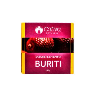 Quantas calorias em 100 G Buriti?