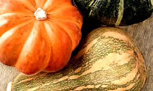 Quantas calorias em 100 G Calabaza Cozida (Abóbora Espanhola)?