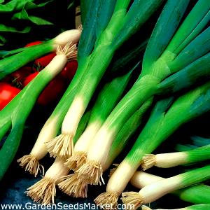 Quantas calorias em 100 G Cebolas Verdes?