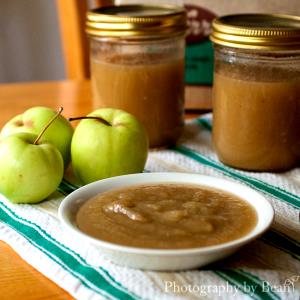 Quantas calorias em 100 G Molho de Maçã?