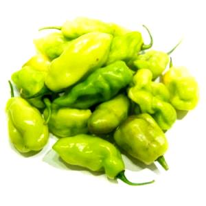 Quantas calorias em 100 G Pimentas Chili Verdes?