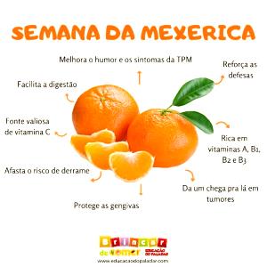 Quantas calorias em 100 G Ponkan?