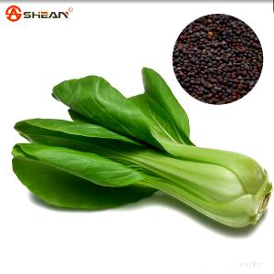 Quantas calorias em 100 G Repolho Chinês (Bok-Choy, Pak-Choi)?