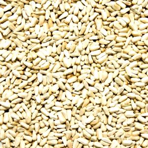 Quantas calorias em 100 Gramas Farinha de semente de cártamo?