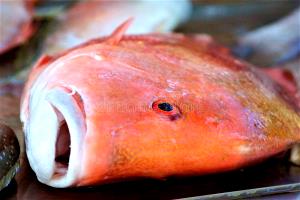 Quantas calorias em 100 Gramas Peixe olho-de-vidro de laranja, cru?