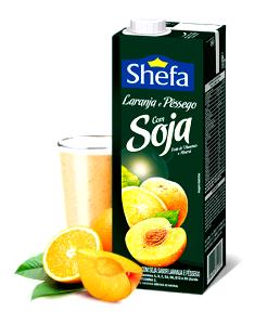 Quantas calorias em 100 ml Suco Soja Laranja?