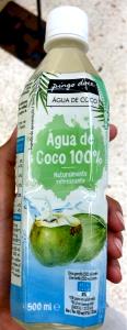 Quantas calorias em 100ml (100 g) Água de Coco?